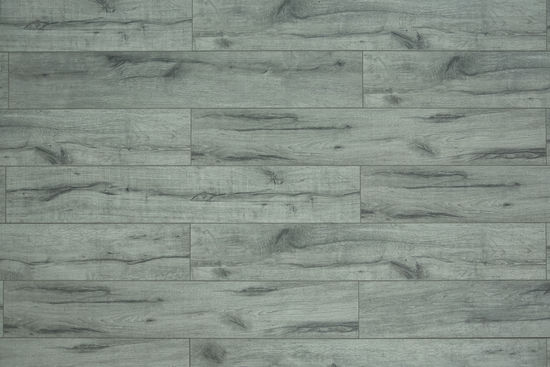 Laminate Flooring TF60 Series #6008 Aria 7-11/16" x 48"