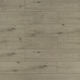 Laminate Flooring TF60 Series #6019 7-11/16" x 48"