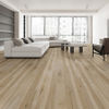 Power Dekor (8191) room_scene