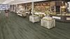 Forbo (63664DR5) room_scene