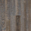 Next Floor (TN525211) color