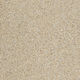 Floor Tiles Accademia Canaletto Polished 24" x 24"