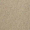 Centura (P6650) product