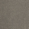 Centura (P6651) product