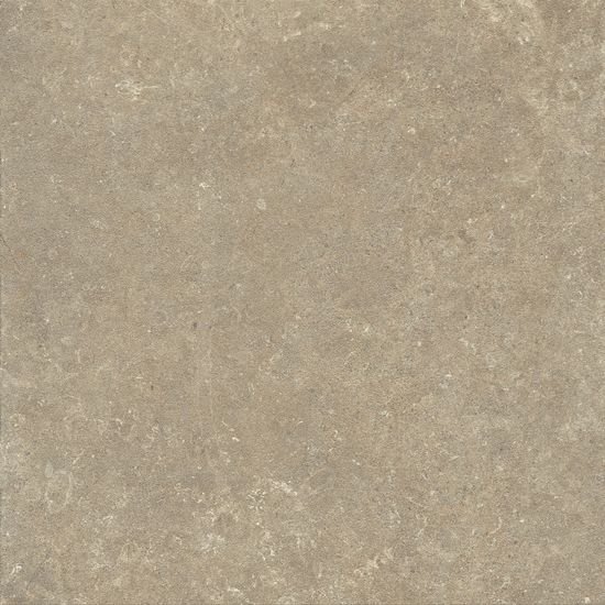 Floor Tiles Arkistyle Earth Matte 24" x 24"