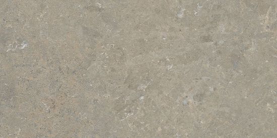 Floor Tiles Arkistyle Fossil Matte 12" x 24"