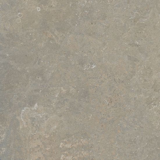Floor Tiles Arkistyle Fossil Matte 24" x 24"