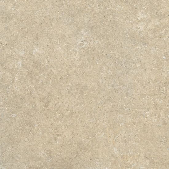 Floor Tiles Arkistyle Sand Matte 24" x 24"