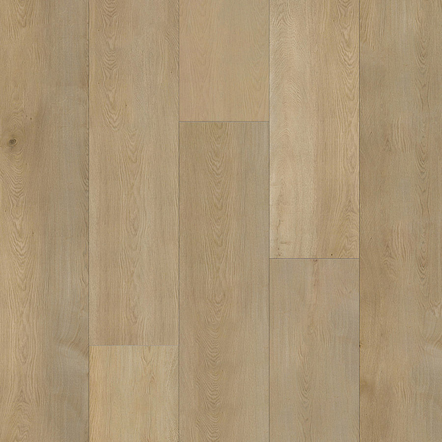 c2ca331c-7440-11ee-8a43-