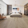 Planchers 1867 (54390020) room_scene
