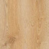 Planchers 1867 (545305015) color