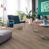 Planchers 1867 (54310824) room_scene