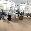 Planchers 1867 (54313678) room_scene