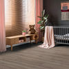Planchers 1867 (54310825) room_scene