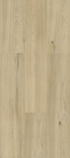 Planchers 1867 (545101109) color