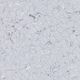 Antistatic Flooring Colorex Plus Basic Adula 23-15/16" x 23-15/16"