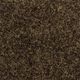 Broadloom Carpet Nautica #7233 Pecan 12' (Sold in Sqyd)