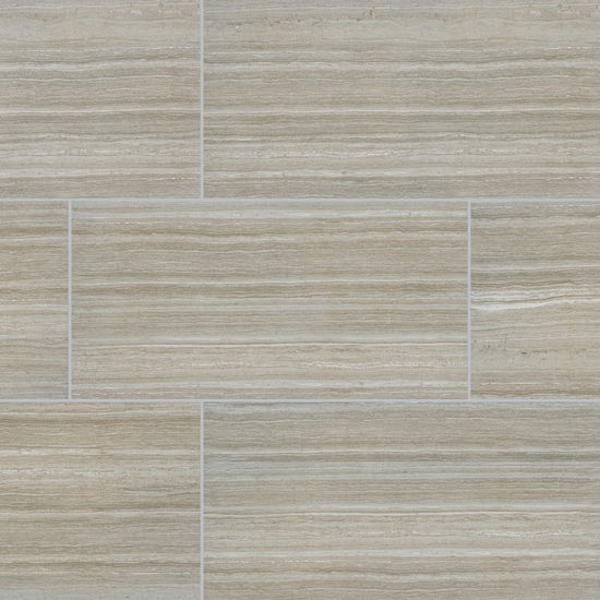 Floor Tiles Essentials Charisma Silver Matte 12" x 24"