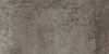 Centura (IDDS2448) product