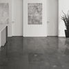 Planchers 1867 (5644504540P) room_scene