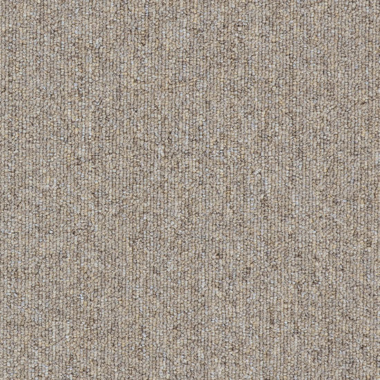 Broadloom Carpet Sonic 20 Ashed Pepper 12' (Sold in sqyd)