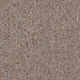 Broadloom Carpet Sonic 20 Clove 12' (Sold in sqyd)