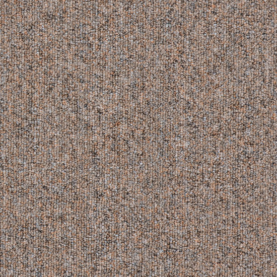 Broadloom Carpet Sonic 20 Clove 12' (Sold in sqyd)