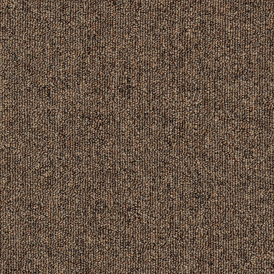 Broadloom Carpet Sonic 20 Bagpipe 12' (Sold in sqyd)
