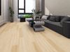 Goodfellow (721778156) room_scene