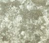 Torginol (TORM1070820-10) product