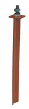 Raimondi (239VG02A) product