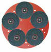 Raimondi (249) product