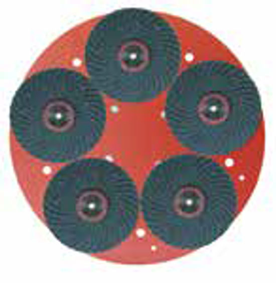 Disque avec cinq disques abrasifs au carbure de silicium 16 grains pour Ipertitina 19-1/4"