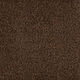 Broadloom Carpet Influencer 36 Chocolate Latte 12' (Sold in Sqyd)