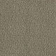 Broadloom Carpet Influencer 42 Mesa Taupe 12' (Sold in Sqyd)