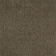 Broadloom Carpet Influencer 42 Warm Ashes 12' (Sold in Sqyd)