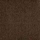 Broadloom Carpet Influencer 42 Chocolate Latte 12' (Sold in Sqyd)