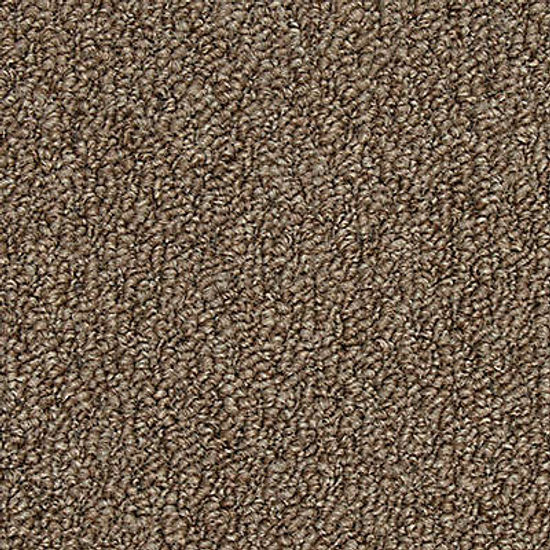Broadloom Carpet Front & Center Praline 12' (Sold in Sqyd)