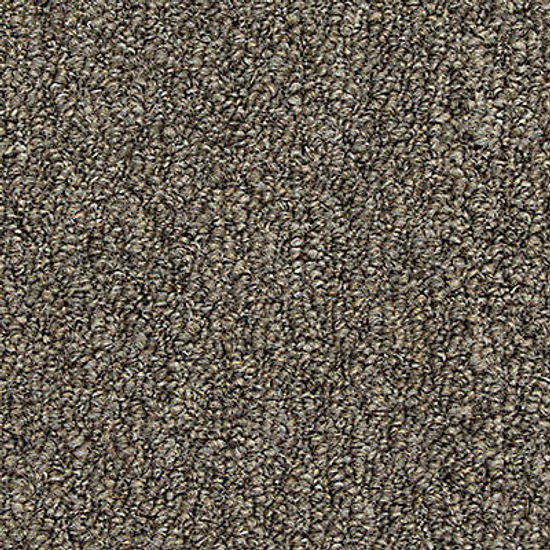 Broadloom Carpet Front & Center Nickel 12' (Sold in Sqyd)