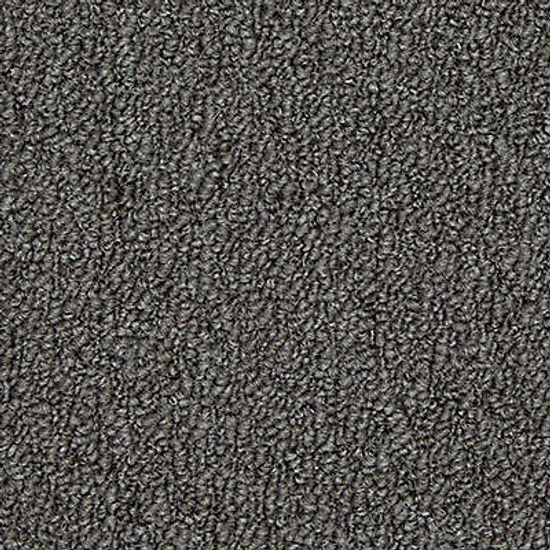 Broadloom Carpet Front & Center Pewter 12' (Sold in Sqyd)