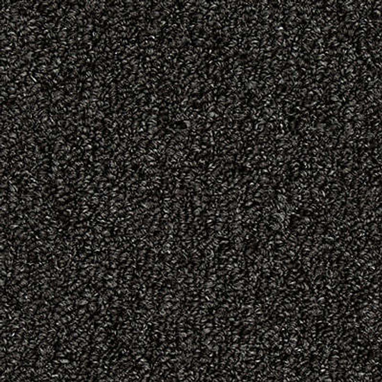 Broadloom Carpet Front & Center Charcoal 12' (Sold in Sqyd)