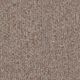 Broadloom Carpet Sonic 28 #5088 Clove 12' (Sold in Sqyd)