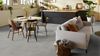 Forbo (62523DR5) room_scene