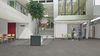 Forbo (63638DR5) room_scene