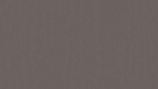 Feuille de linoléum LinoFloor xf² Originale #473 Pepper 6-9/16' - 2.5 mm (vendu en vg²)