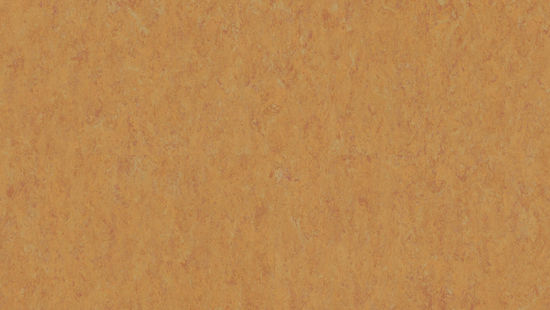 Linoleum Sheet LinoFloor xf¹ Veneto #636 Amber 6-9/16' - 2.5 mm (Sold in Sqyd)