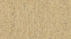 Tarkett (14172679-SQYD) product