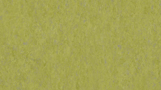 Feuille de linoléum LinoFloor xf¹ Veneto #695 Absinthe 6-9/16' - 2.5 mm (vendu en vg²)