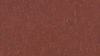 Tarkett (14172945-SQYD) product