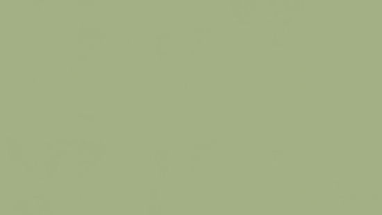 Feuille de linoléum LinoFloor xf² Etrusco #055 Olive 6-9/16' - 2.5 mm (vendu en vg²)